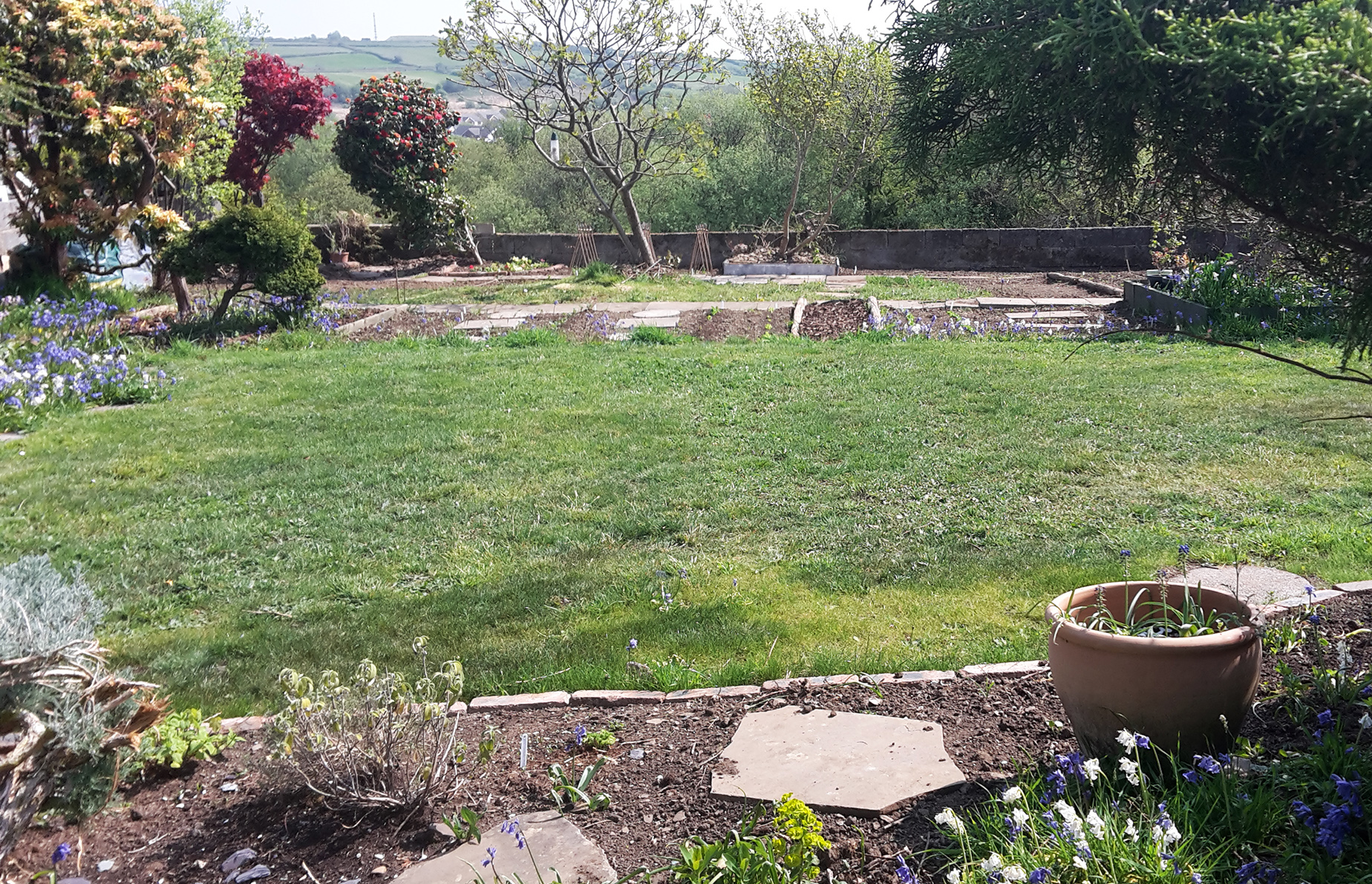 View from back of house overlooking garden