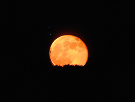 Full moon rising viewed from back garden